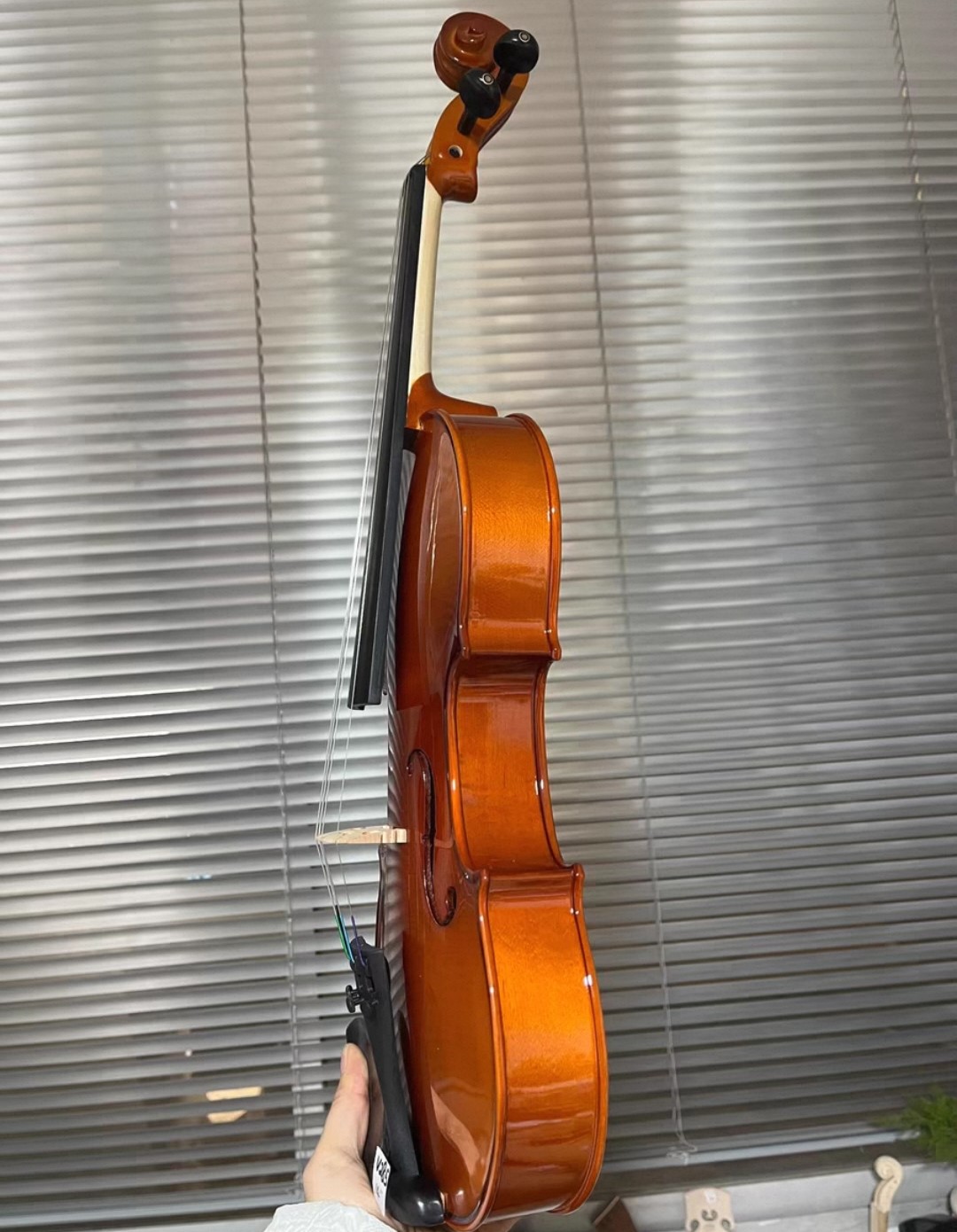 無垢材ヴィオラ14インチ-15インチ-16インチ ストラディ - Musical Instrument Viola のレビューと価格